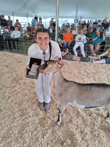 Alpena County 4-H member named Michigan 4-H award winner